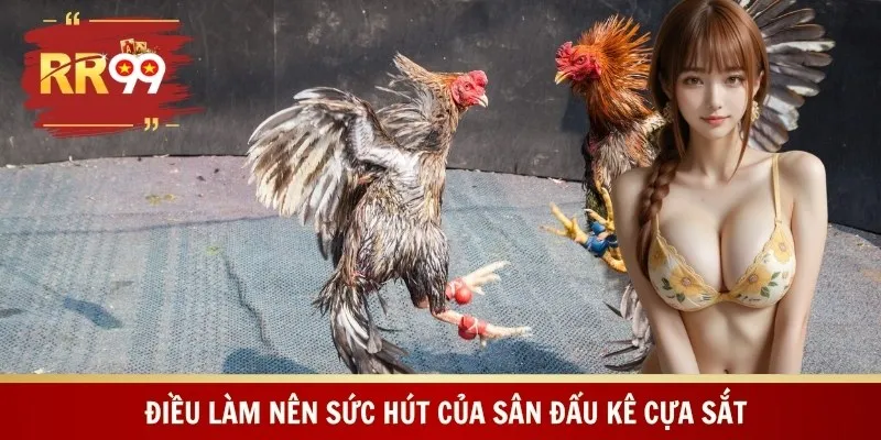Điều làm nên sức hút của sân đấu kê cựa sắt
